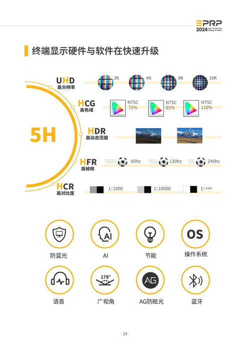 2024年度顯示設(shè)備護(hù)眼趨勢與計(jì)算機(jī)軟硬件技術(shù)開發(fā)融合報(bào)告