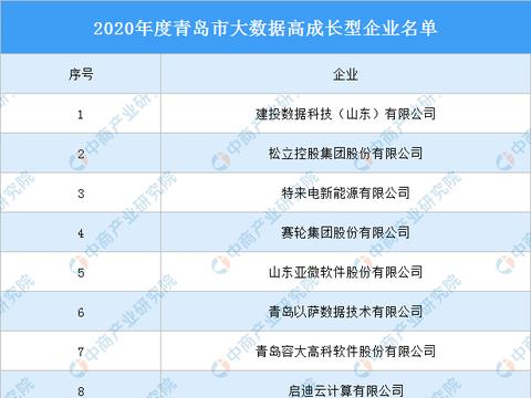 2020年度青島市大數(shù)據(jù)高成長型企業(yè)名單發(fā)布，數(shù)據(jù)處理與存儲服務(wù)引領(lǐng)行業(yè)風向