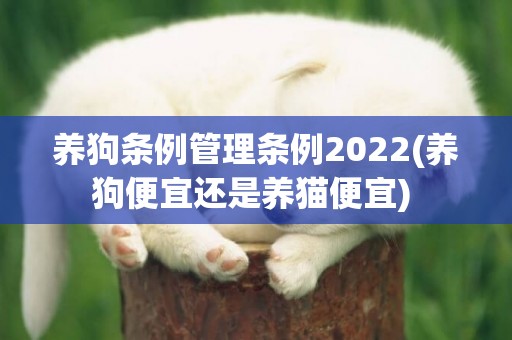 养狗条例管理条例2022(养狗便宜还是养猫便宜) 